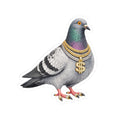 Diamond District NYC Pigeon 3" x 3" Sticker