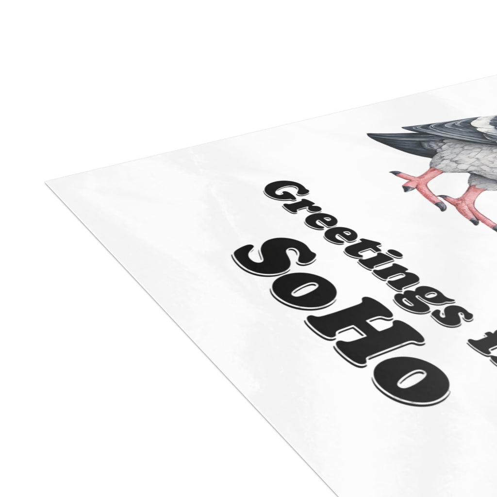 SoHo NYC Pigeon Postcard Bundle (envelopes included)