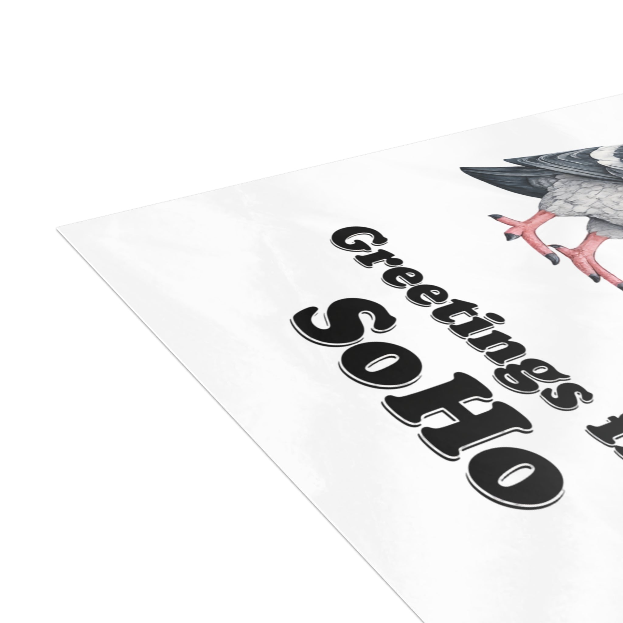 SoHo NYC Pigeon Postcard Bundle (envelopes included)