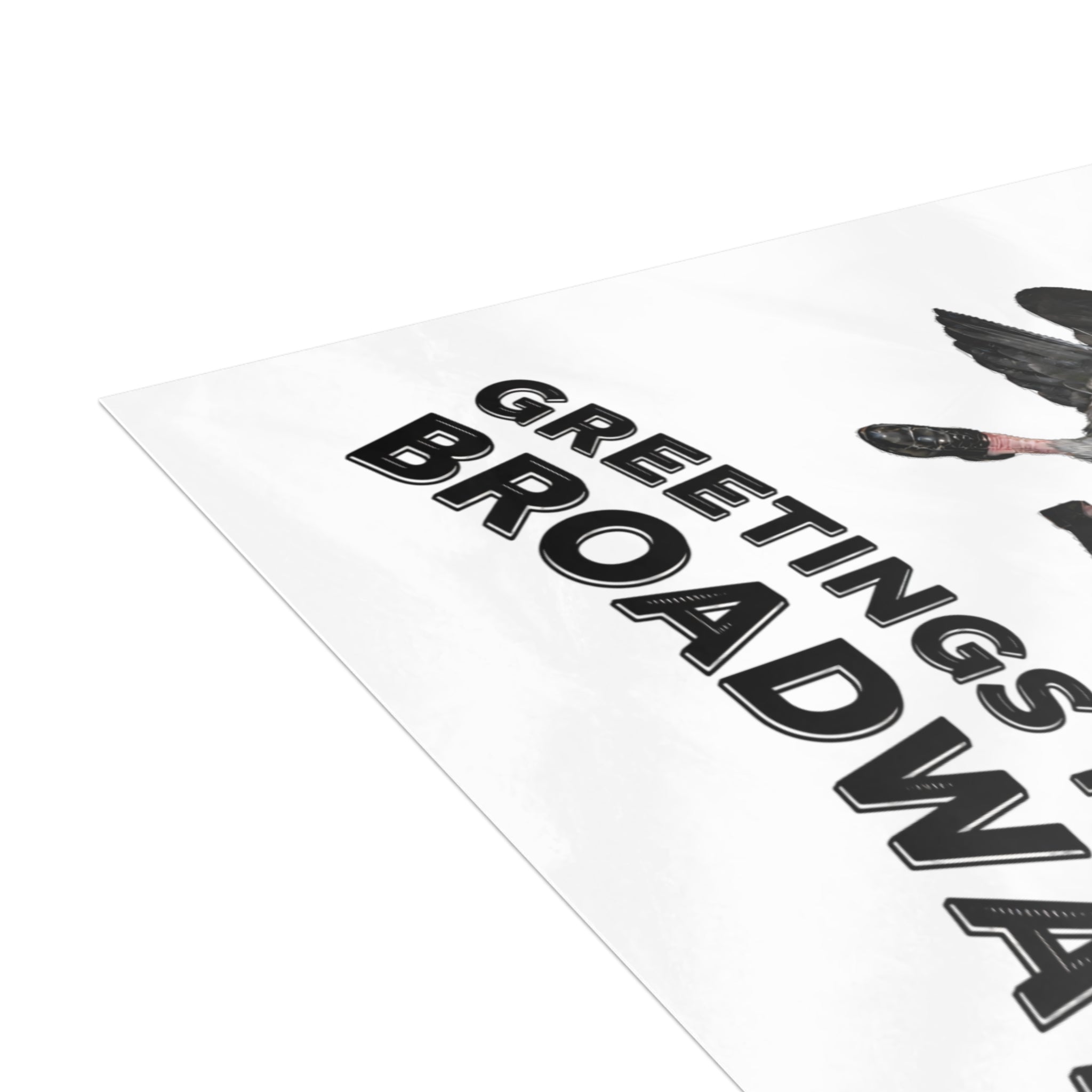 Broadway NYC Pigeon Postcard Bundle (envelopes included)