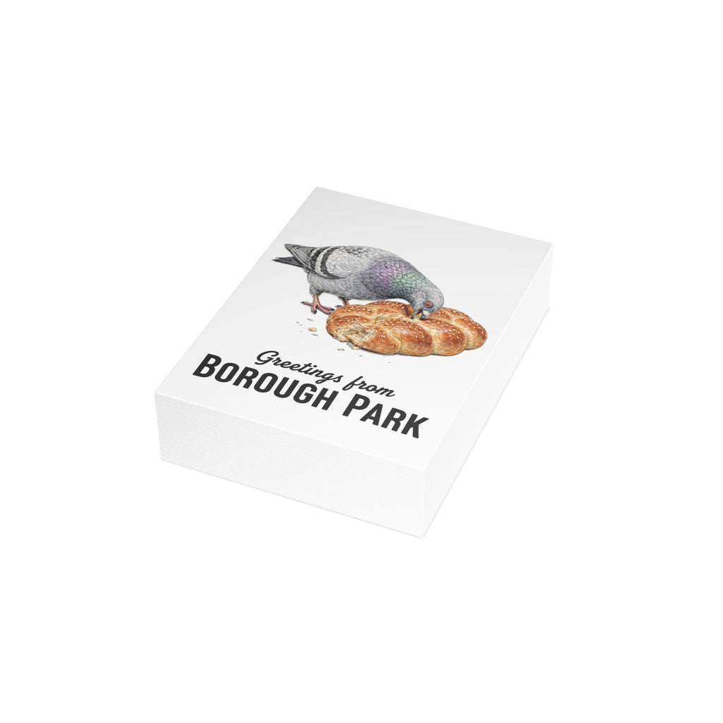 Borough Park NYC Pigeon Postcard Bundle (envelopes included)