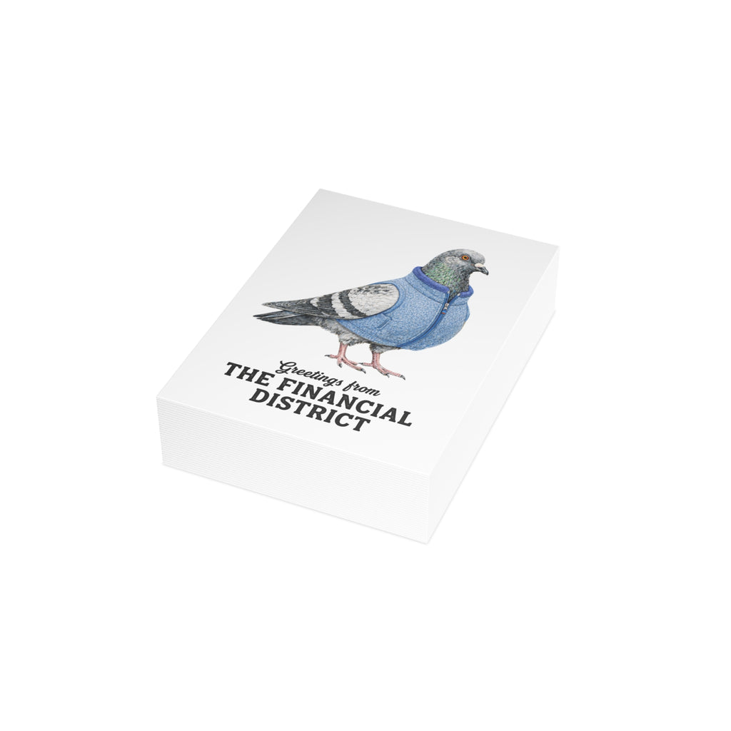 Financial District NYC Pigeon Postcard Bundle (envelopes included)