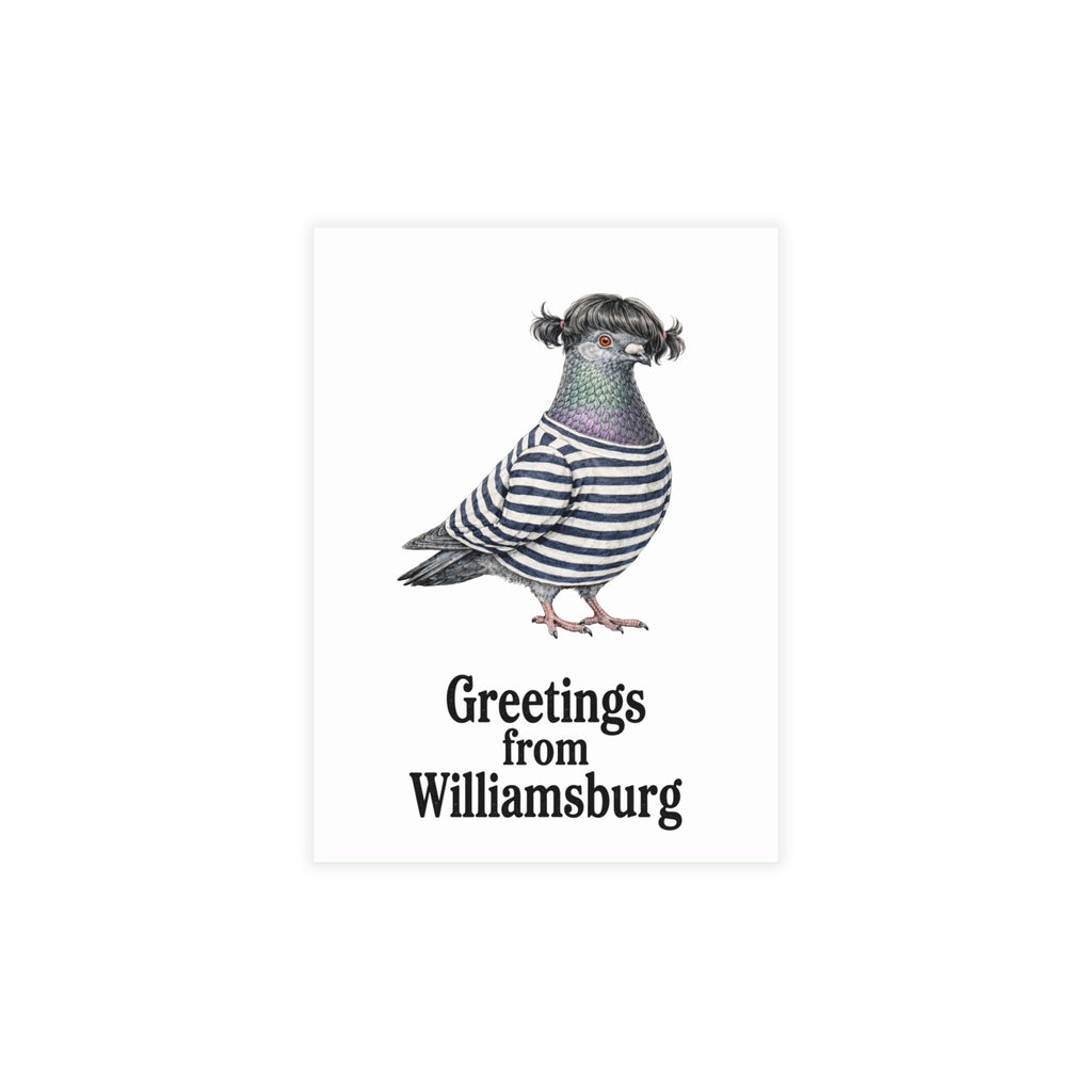 Paquete de postales de palomas de Williamsburg, Nueva York (sobres incluidos)