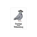 Paquete de postales de palomas de Williamsburg, Nueva York (sobres incluidos)