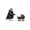 Park Slope NYC Pigeon 3" x 3" Sticker