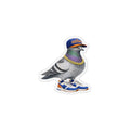 Imán de nevera Queens NYC Pigeon Magnet | Ventilador de béisbol de Nueva York Amante de las aves