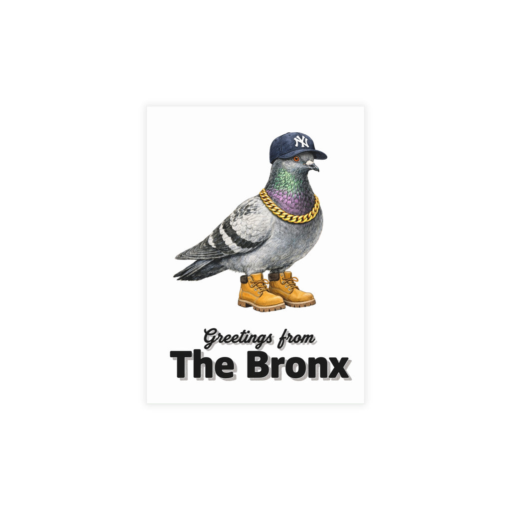 Bronx NYC Pigeon Postcard Bundle (envelopes included)