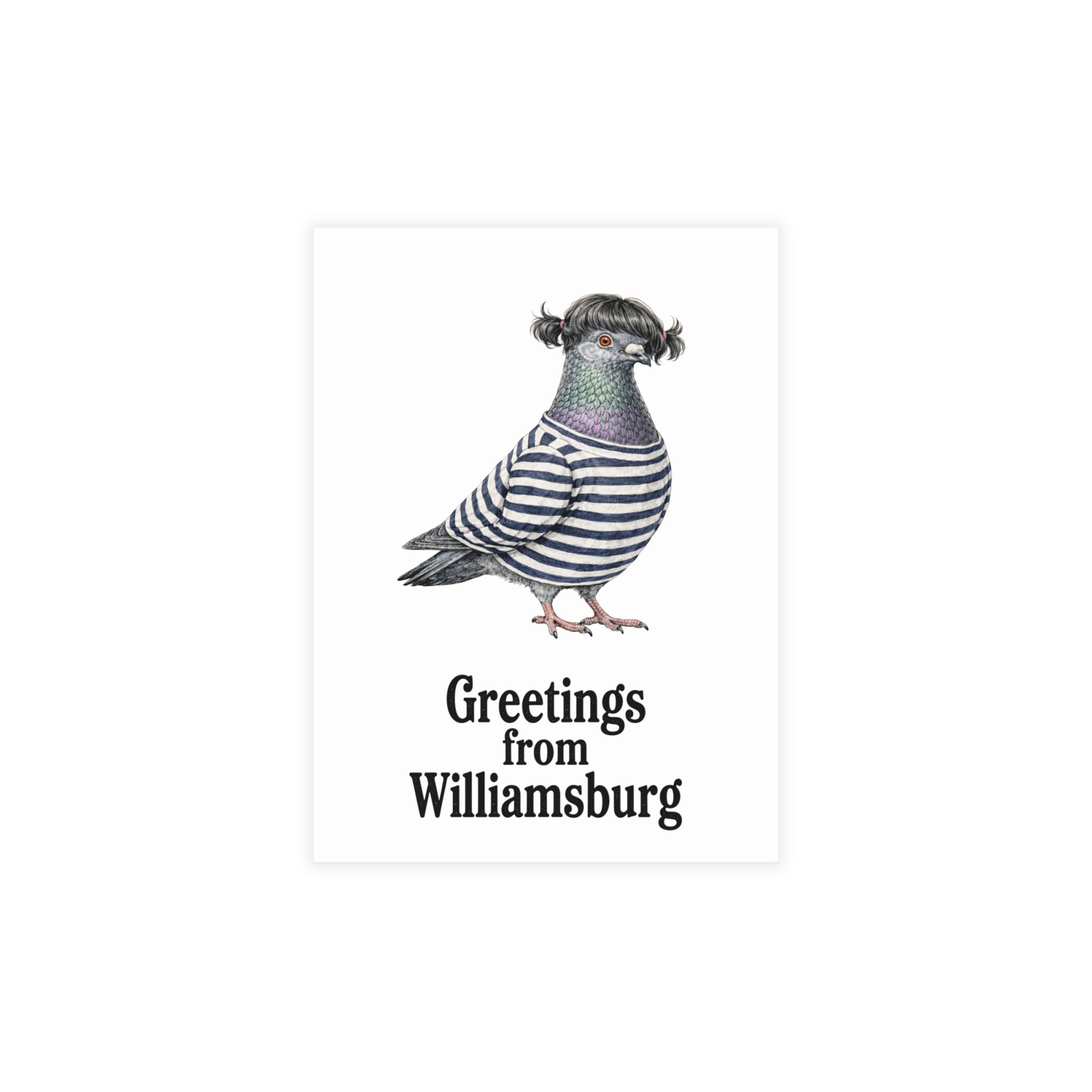 Williamsburg NYC Pigeon Postcard Bundle (envelopes included)