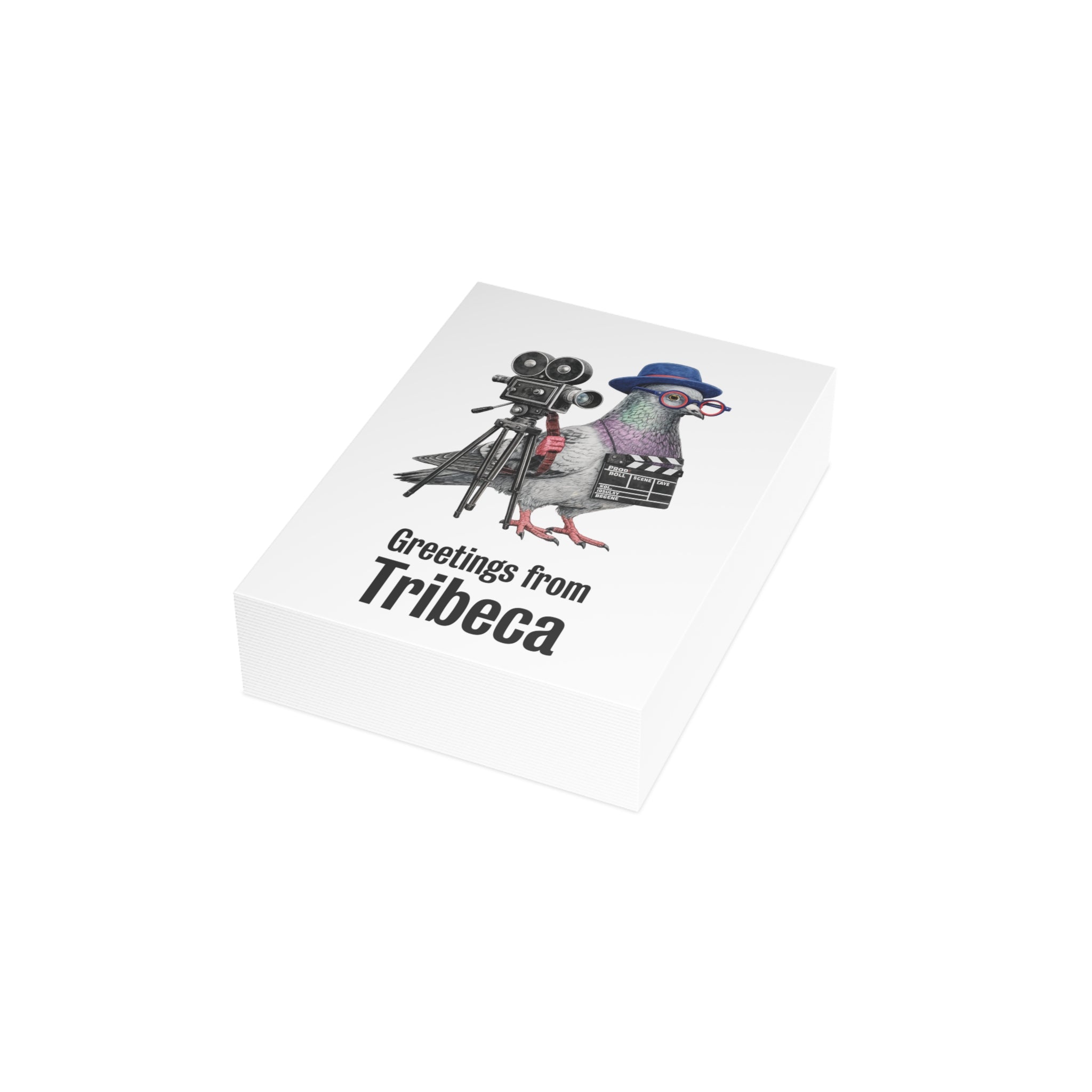 Tribeca NYC Pigeon Postcard Bundle (envelopes included)