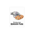 Borough Park NYC Pigeon Postcard Bundle (envelopes included)