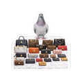 Canal Street NYC Pigeon 3" x 3" Sticker