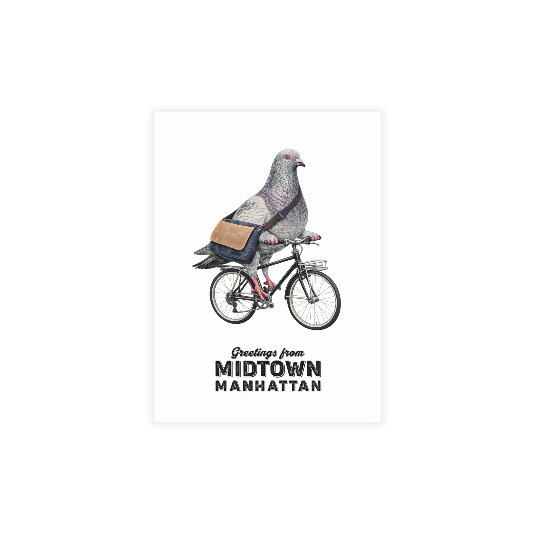 Midtown Manhattan NYC Pigeon Postcard Bundle (envelopes included)