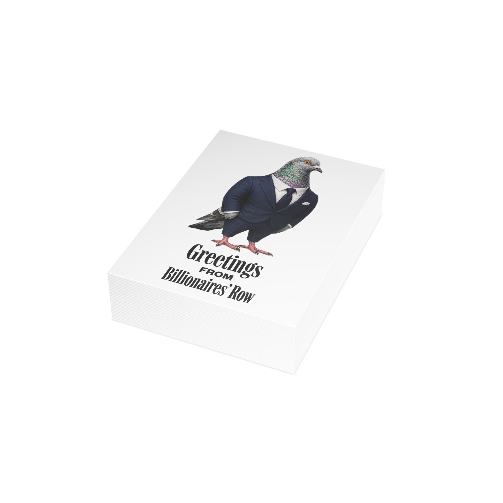 Billionaire's Row NYC Pigeon Postcard Bundle (envelopes included)