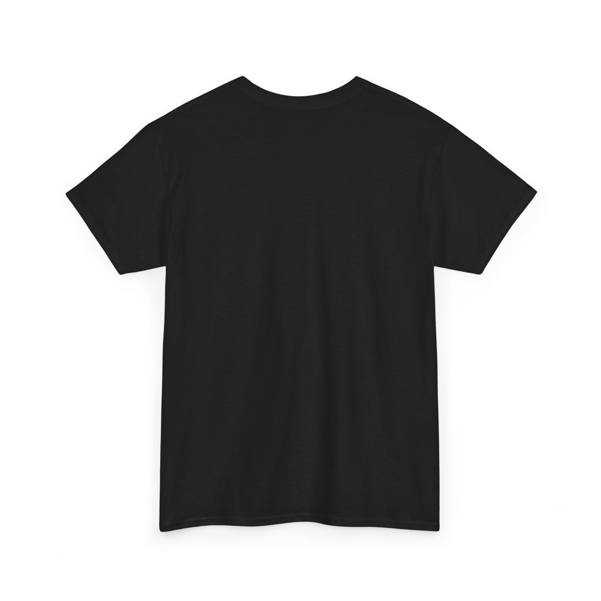 Fallsburg, NY Map T-Shirt  Catskills Upstate New York Tee