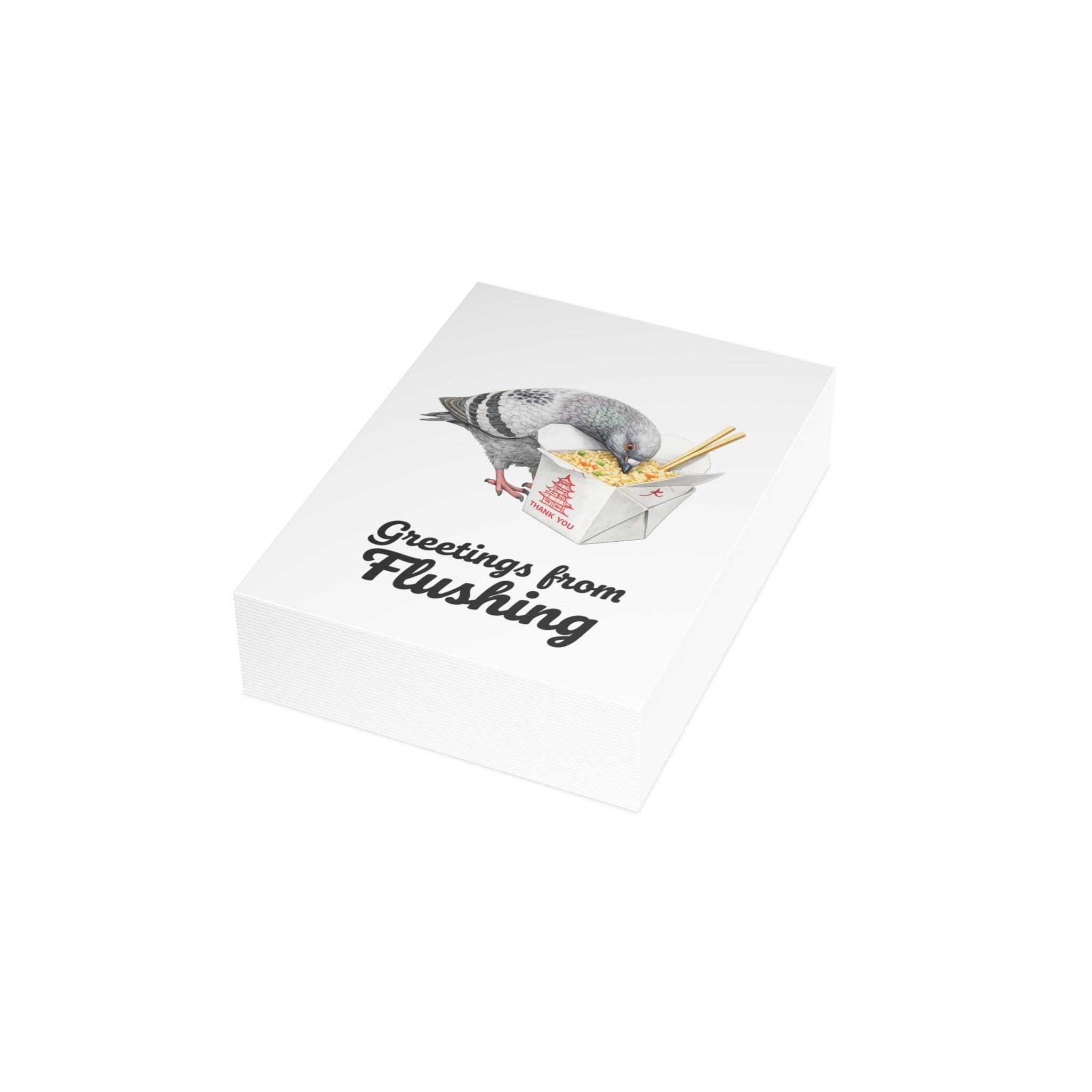 Flushing NYC Pigeon Postcard Bundle (envelopes included)
