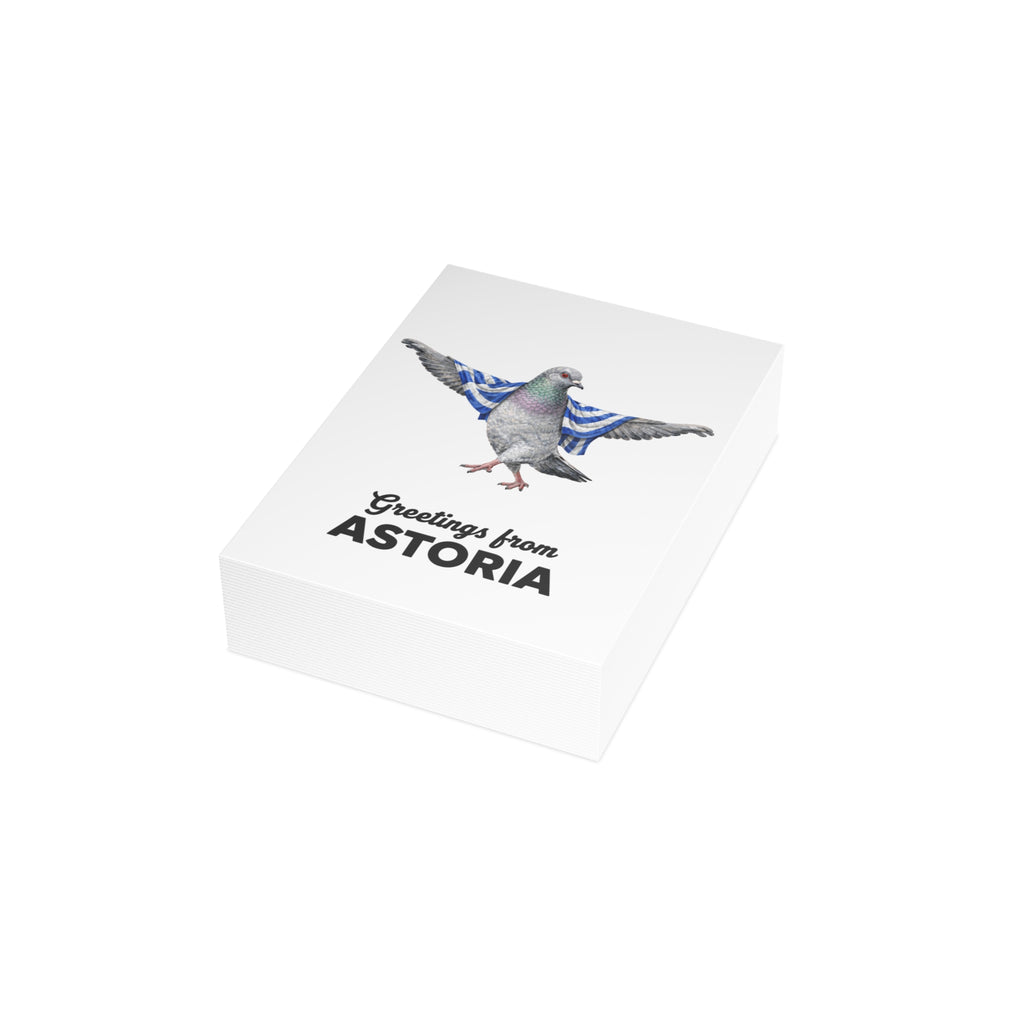 Astoria NYC Pigeon Postcard Bundle (envelopes included)