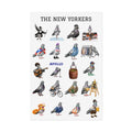 Póster enrollado Las palomas de Nueva York Manhattan | Regalo para amantes de las aves con palomas de Nueva York