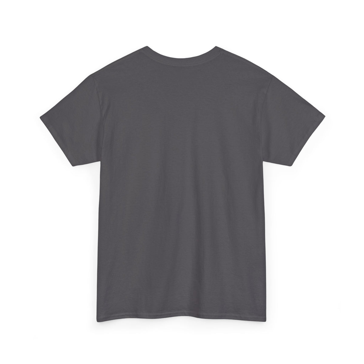 Fallsburg, NY Map T-Shirt  Catskills Upstate New York Tee