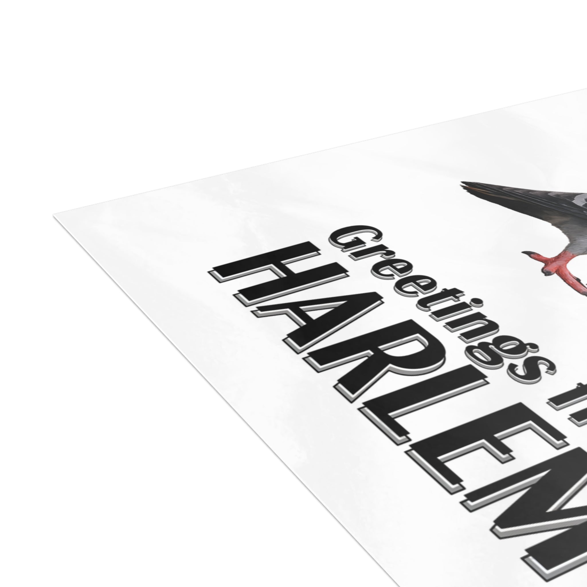 Harlem NYC Pigeon Postcard Bundle (envelopes included)