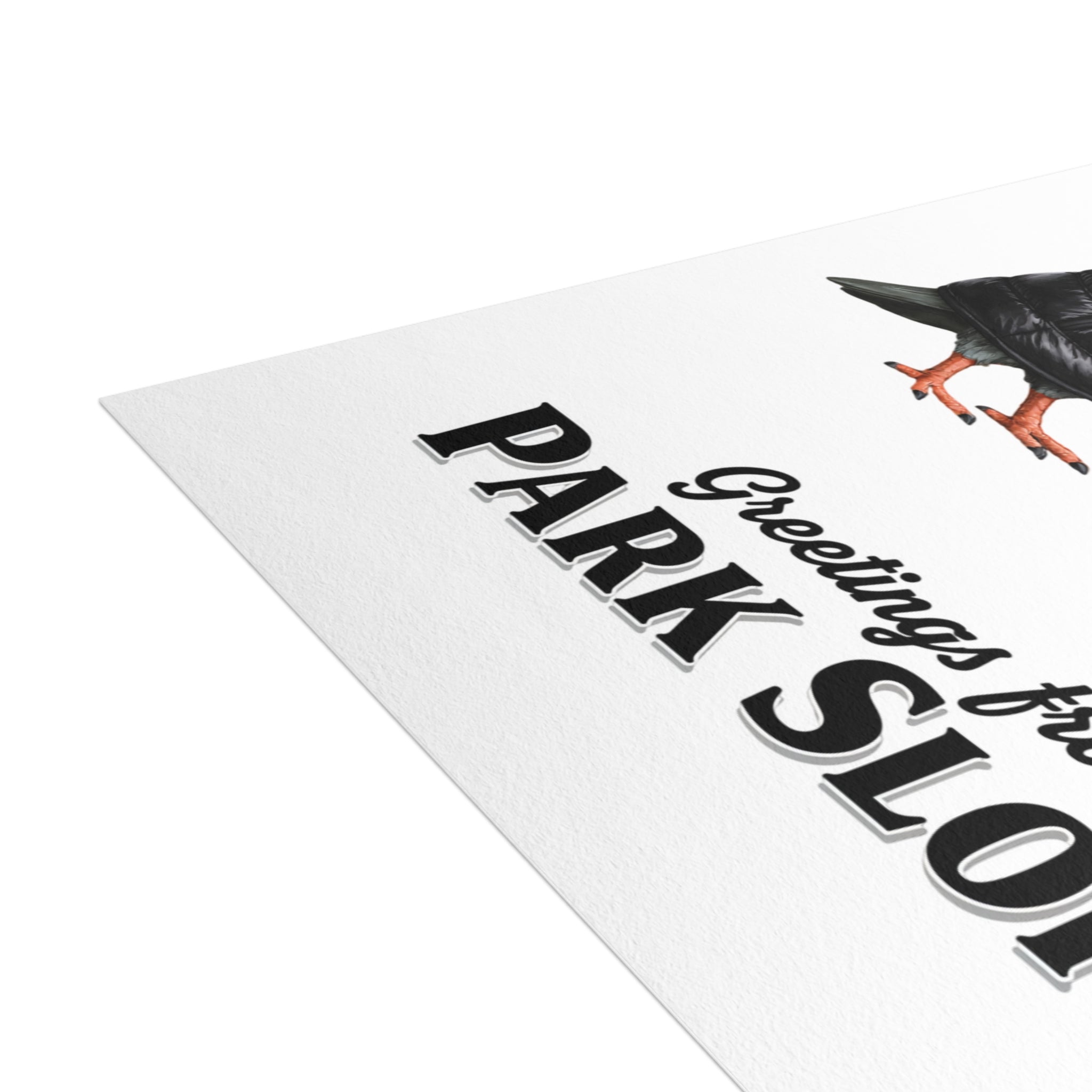 Park Slope NYC Pigeon Postcard Bundle (envelopes included)