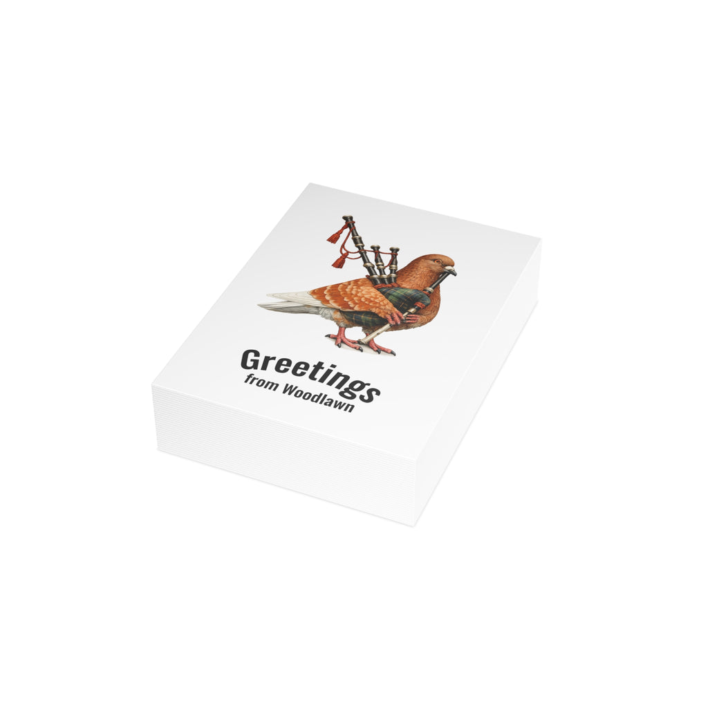 Woodlawn NYC Pigeon Postcard Bundle (envelopes included)