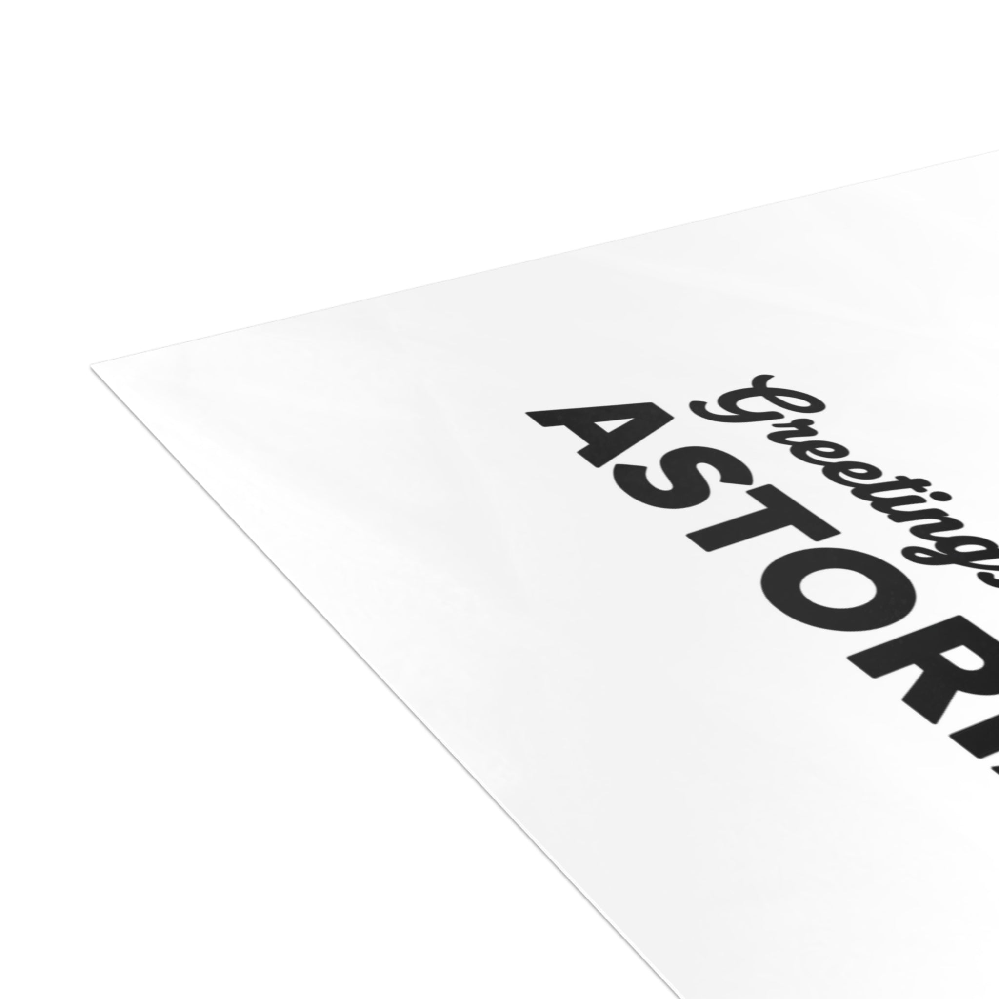 Astoria NYC Pigeon Postcard Bundle (envelopes included)