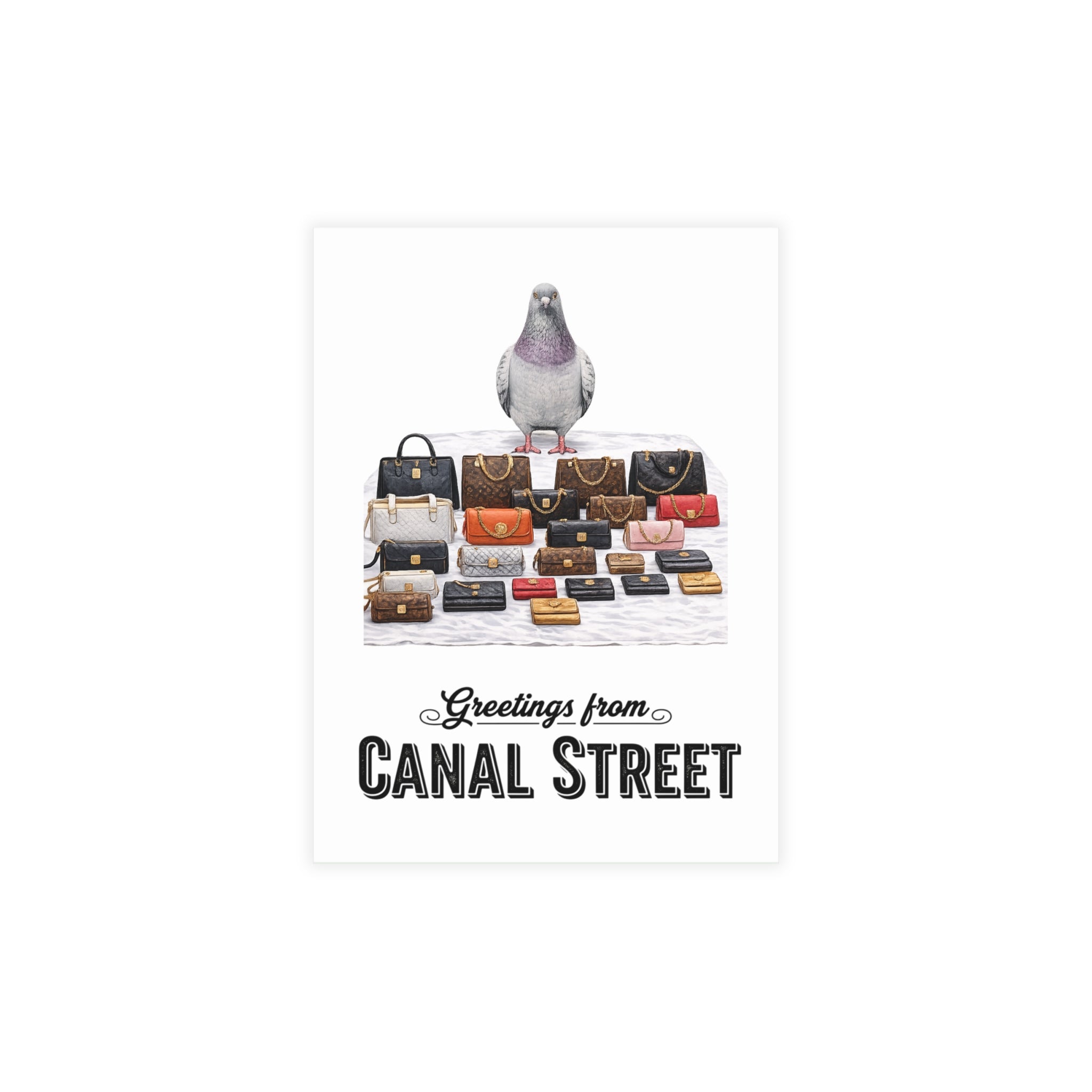 Canal Street NYC Pigeon Postcard Bundle (envelopes included)
