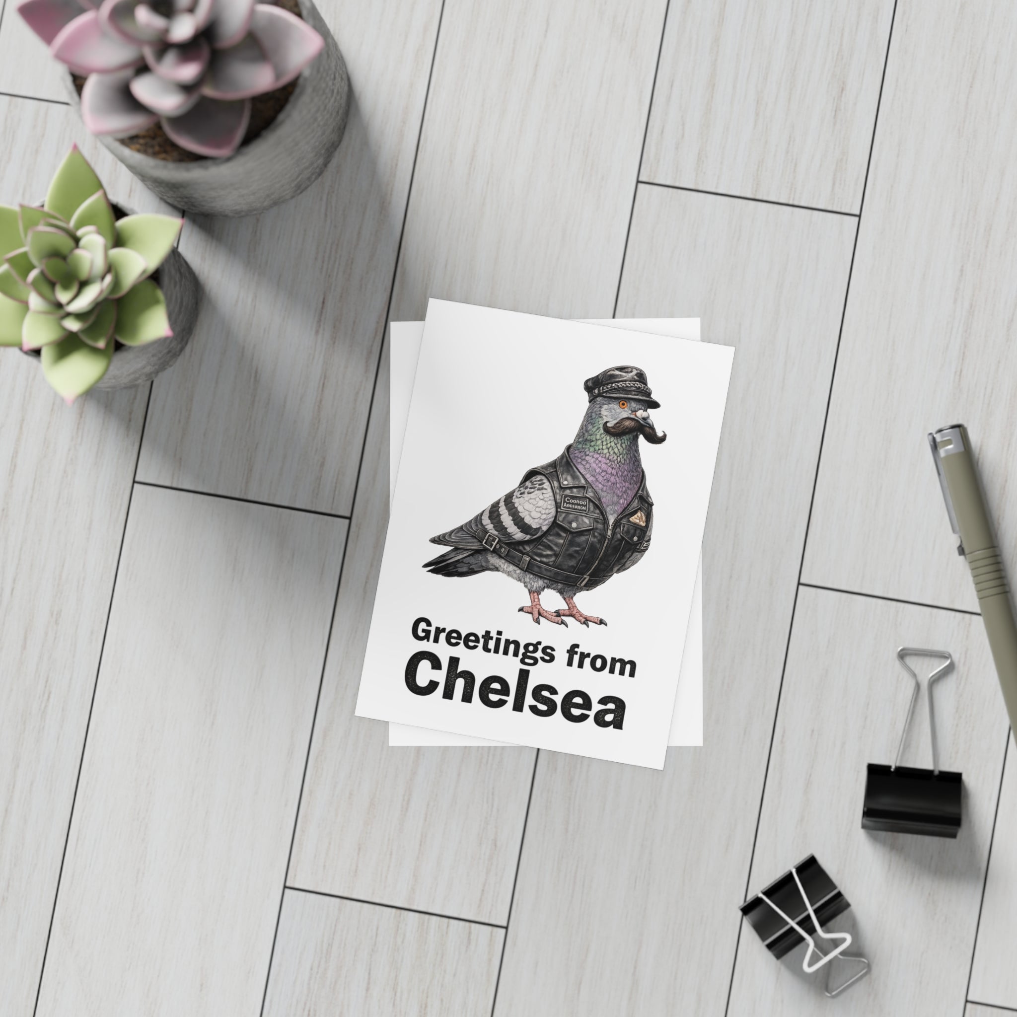 Chelsea NYC Pigeon Postcard Bundle (envelopes included)