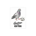 Soccer Player NYC Pigeon New York Postcard Bundle (envelopes included)
