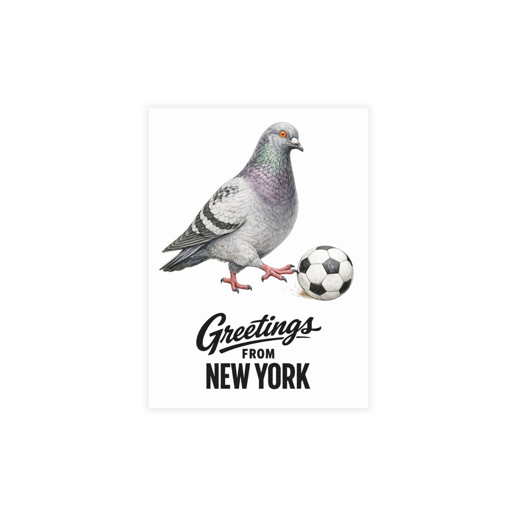 Soccer Player NYC Pigeon New York Postcard Bundle (envelopes included)