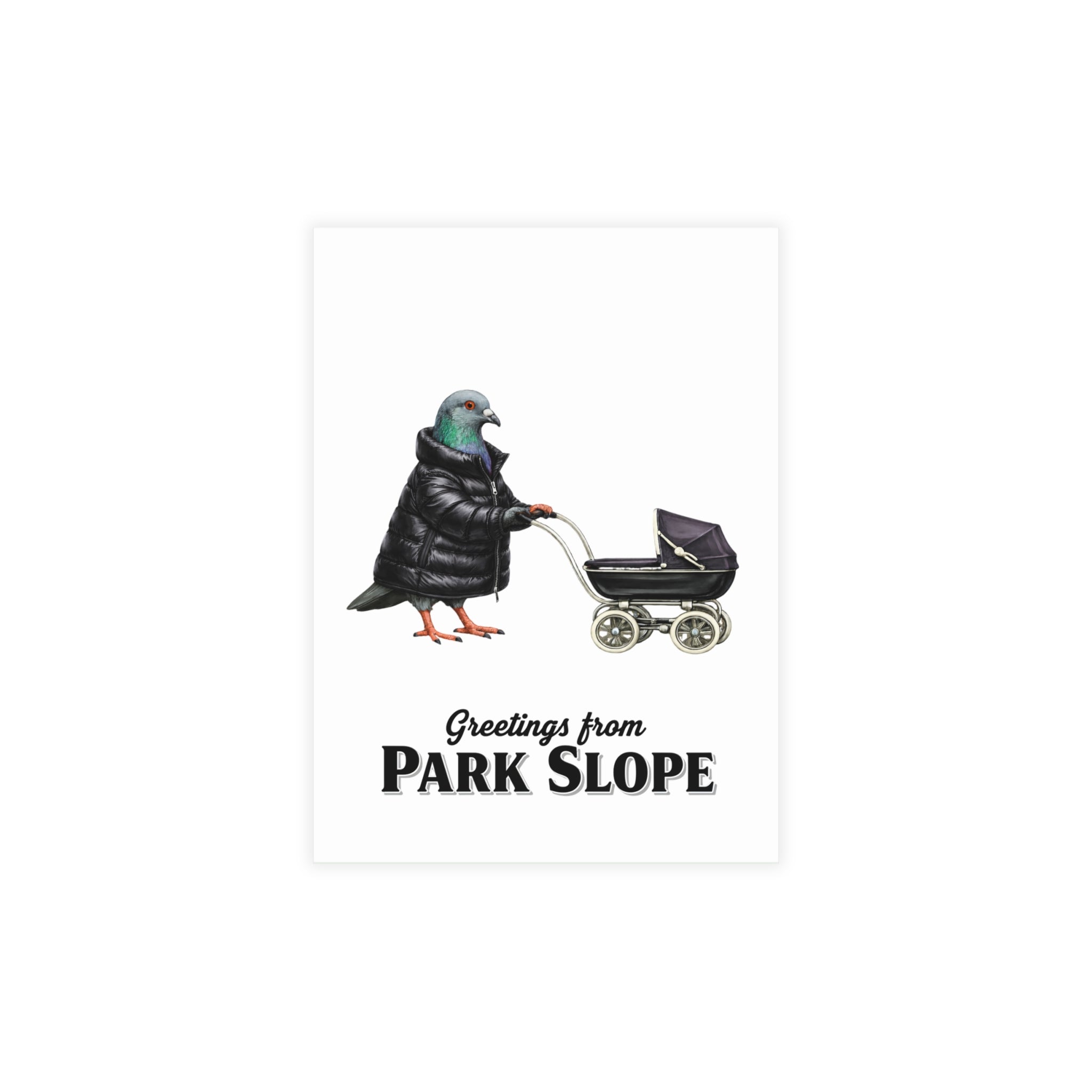 Park Slope NYC Pigeon Postcard Bundle (envelopes included)