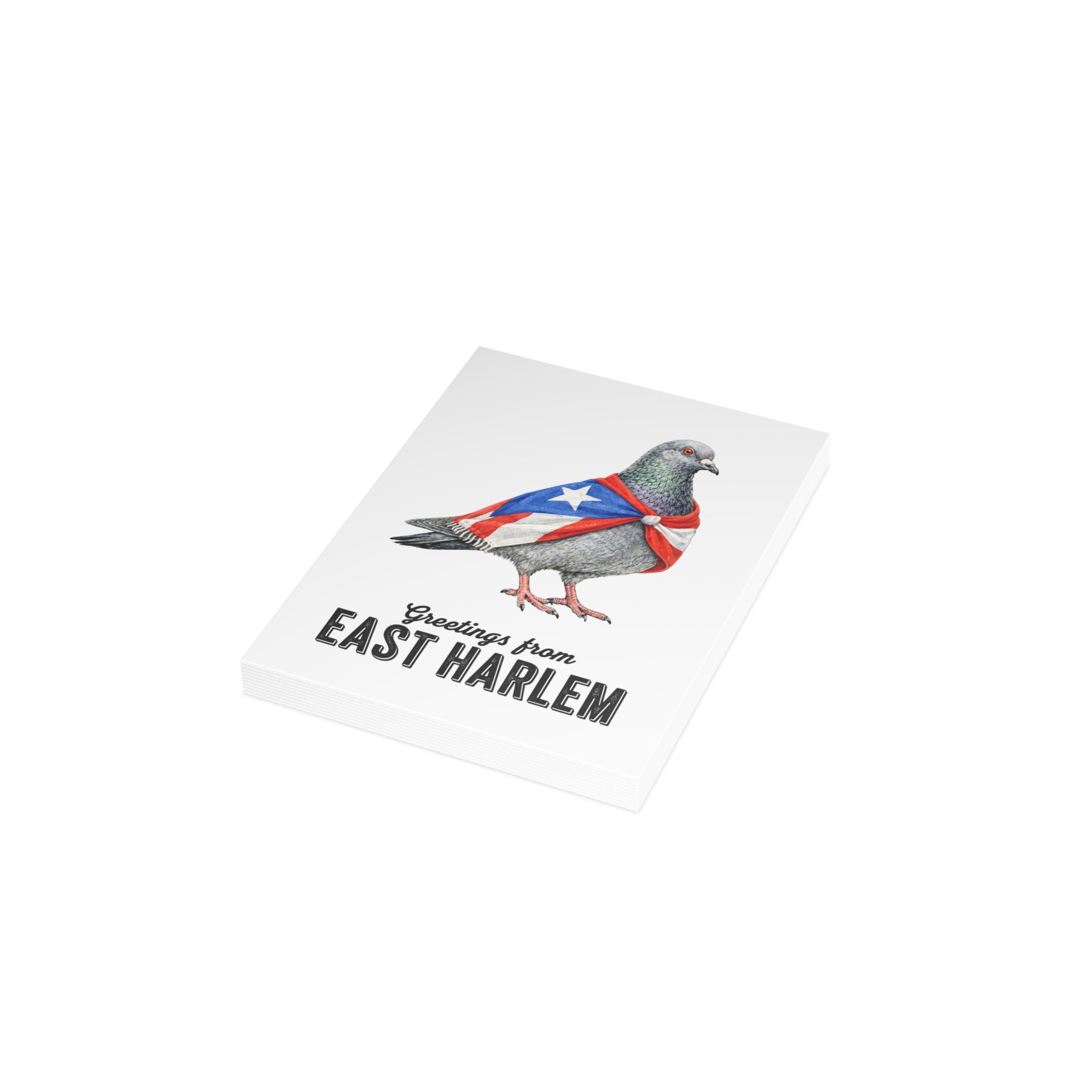 East Harlem NYC Pigeon Postcard Bundle (envelopes included)