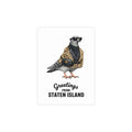 Staten Island NYC Pigeon Postcard Bundle (envelopes included)