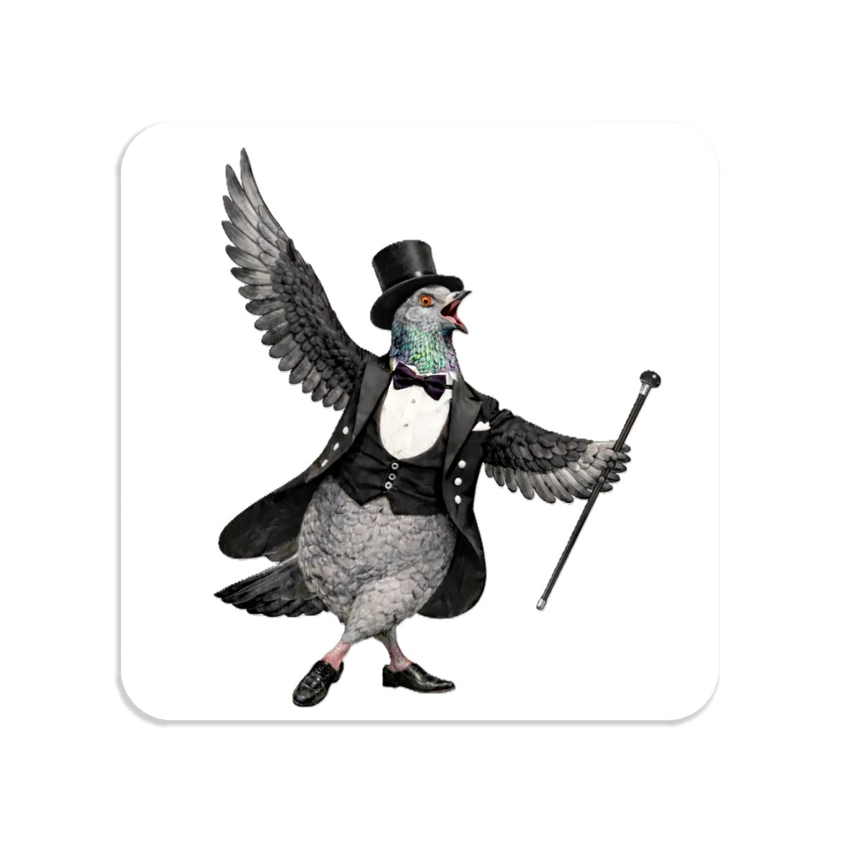 Broadway NYC Pigeon Magnet