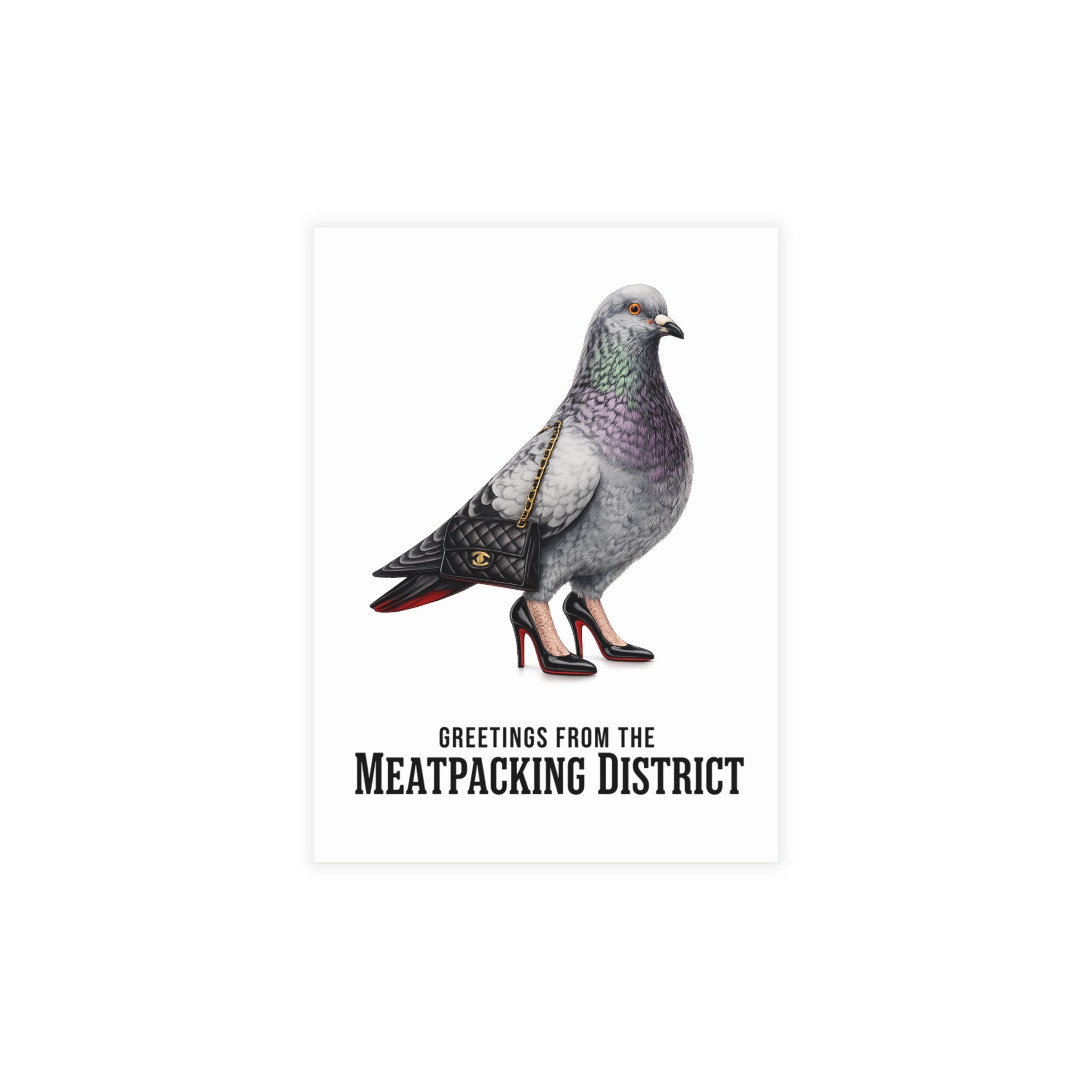 Meatpacking District NYC Pigeon Postcard Bundle (envelopes included)