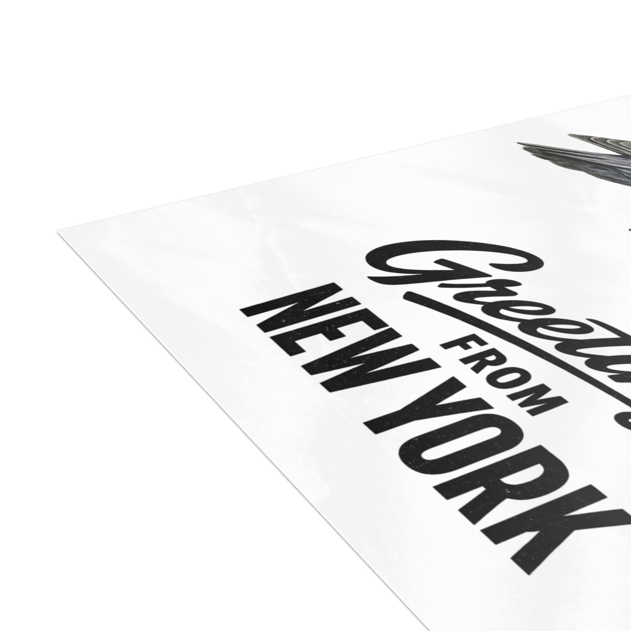 Soccer Player NYC Pigeon New York Postcard Bundle (envelopes included)