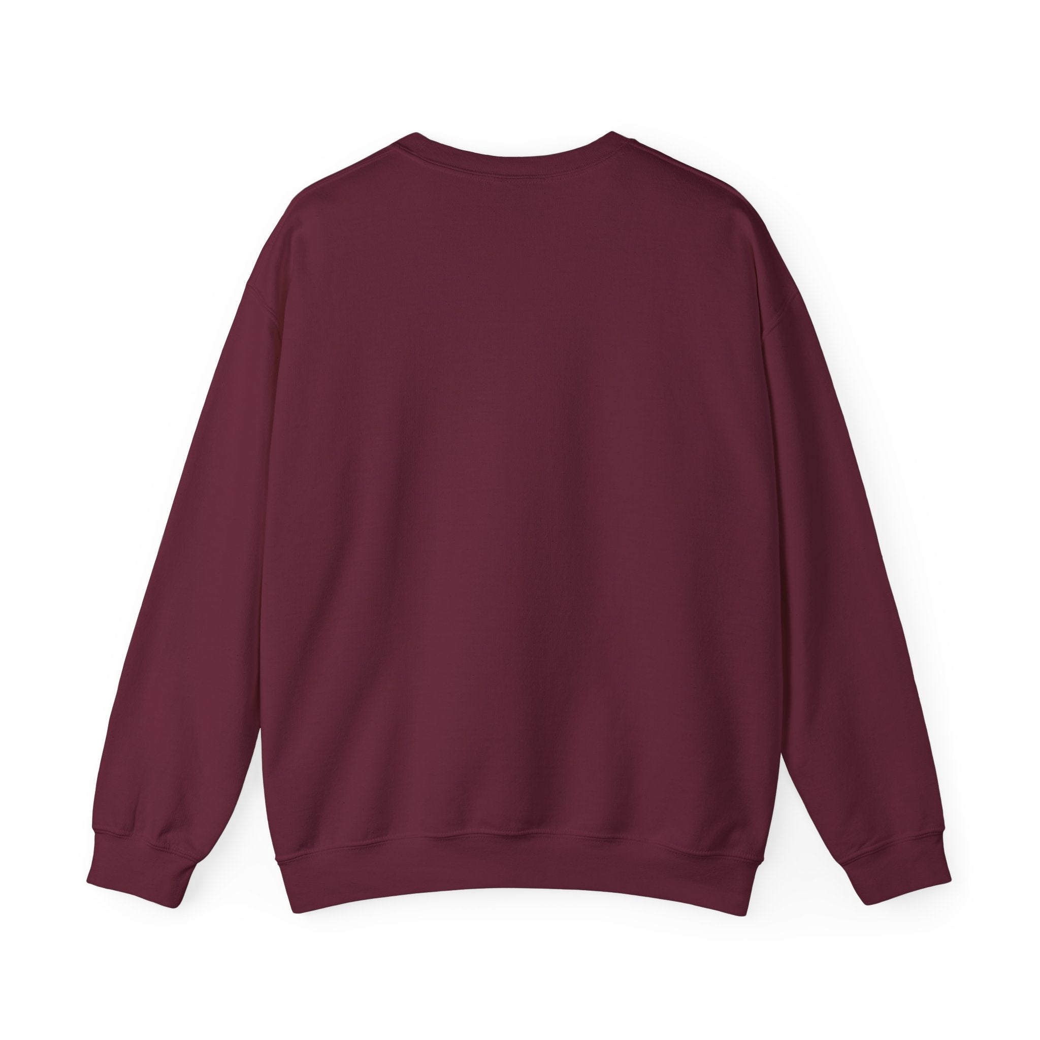 NYC Squirrel Sweatshirt | New York Crewneck Sweater