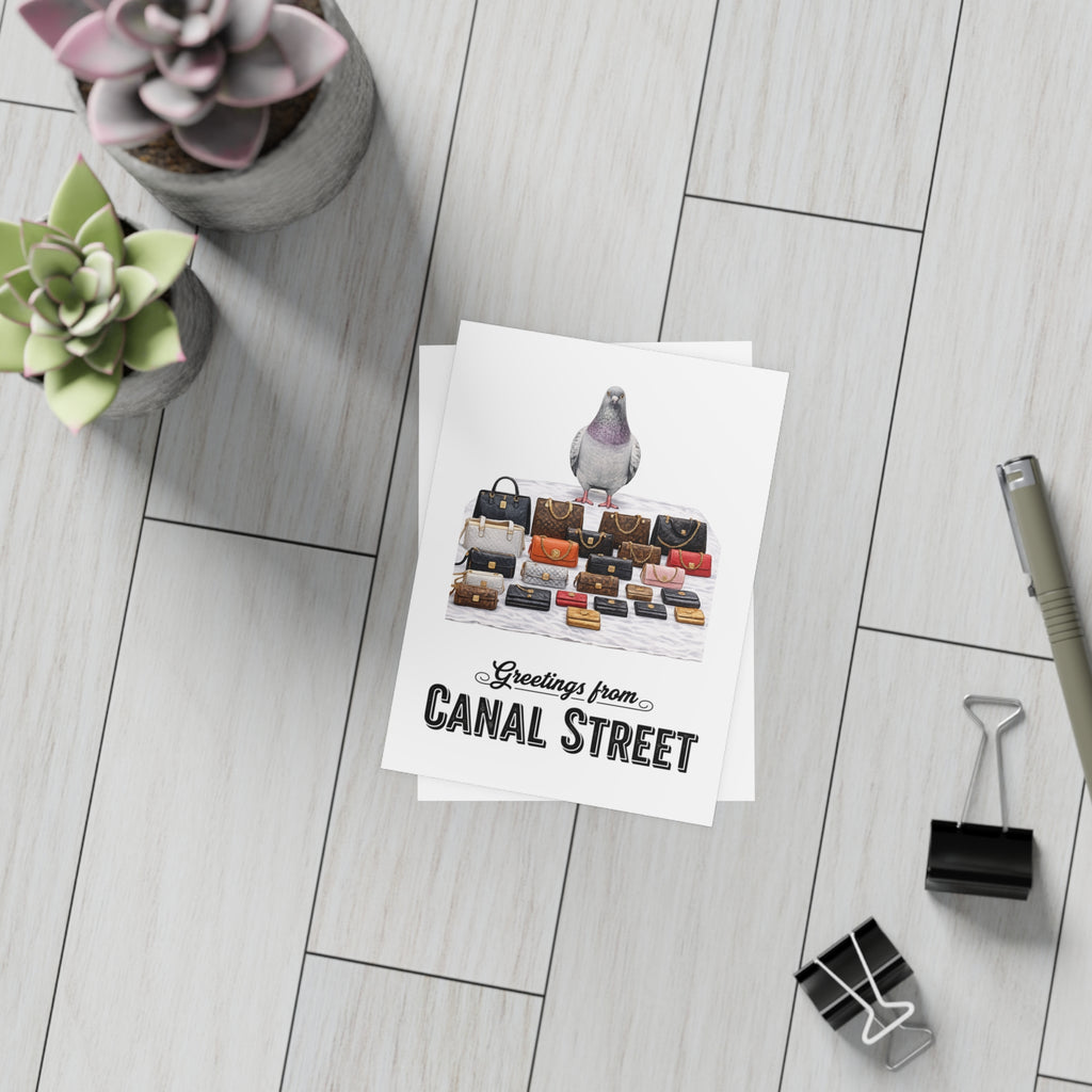 Canal Street NYC Pigeon Postcard Bundle (envelopes included)