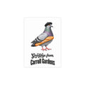 Carroll Gardens NYC Pigeon Postcard Bundle (envelopes included)