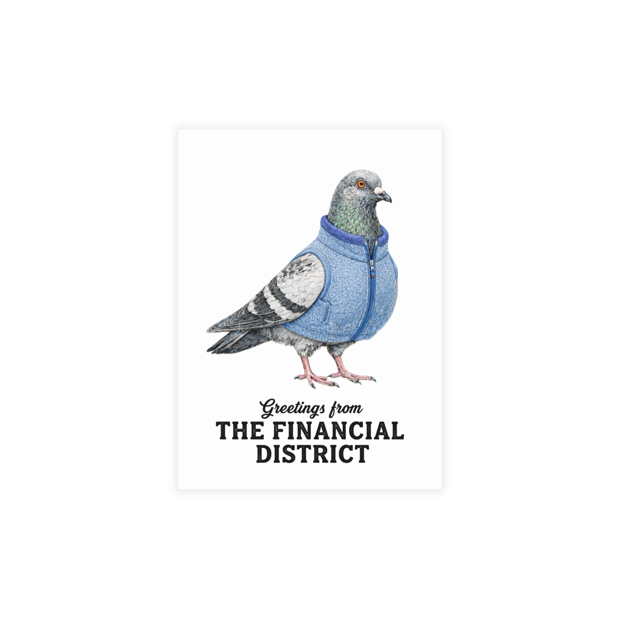 Financial District NYC Pigeon Postcard Bundle (envelopes included)