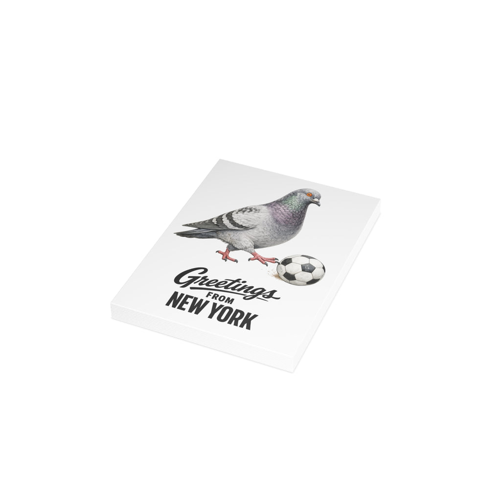 Soccer Player NYC Pigeon New York Postcard Bundle (envelopes included)