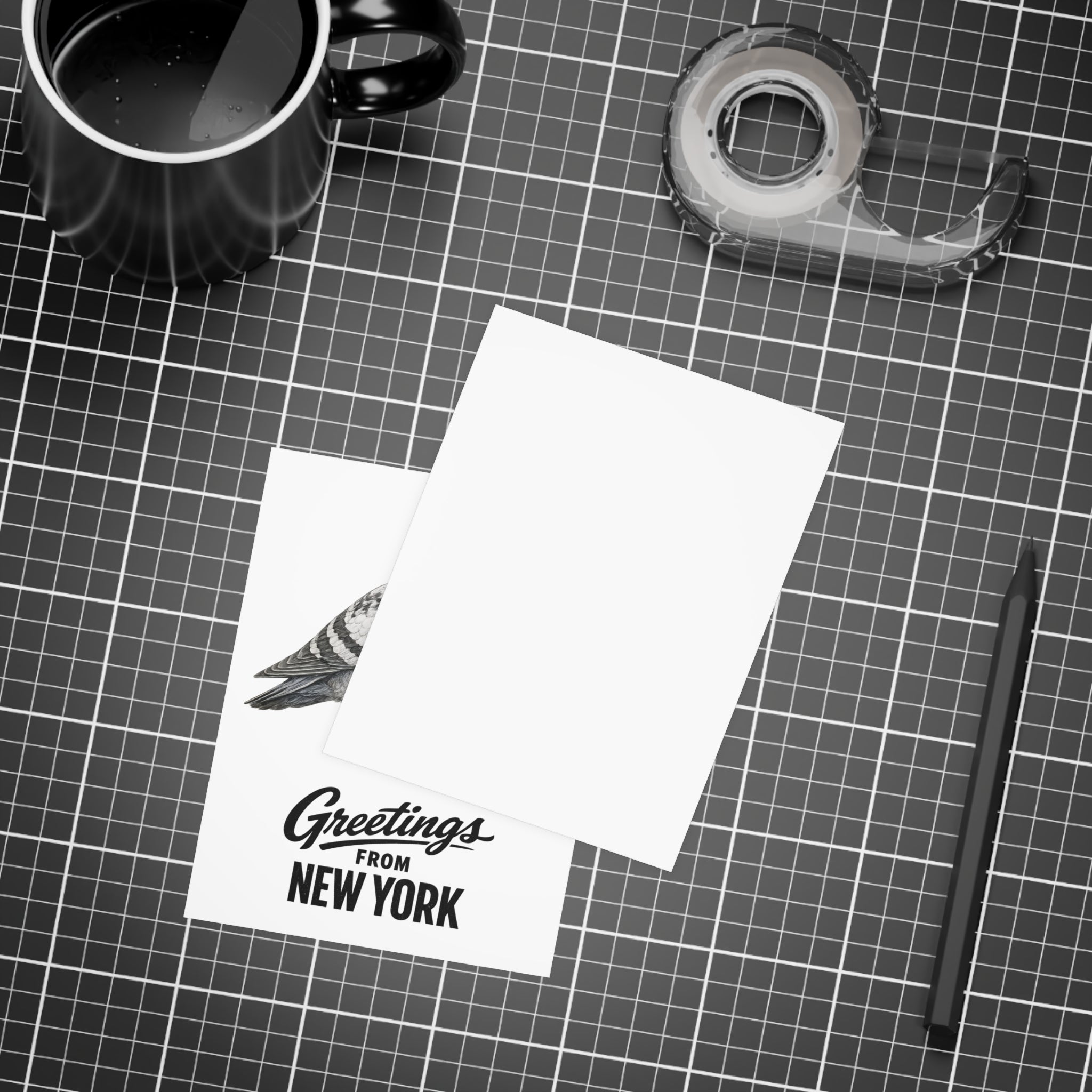 Soccer Player NYC Pigeon New York Postcard Bundle (envelopes included)