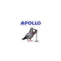 Harlem NYC Pigeon Magnet | Entertainer Comedian Singer Performer Bird Lover Fridge Magnet