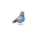 Aimant de réfrigérateur aimant à pigeons du quartier financier de New York | Aimant de réfrigérateur pour amoureux des oiseaux de Wall Street Finance Bro