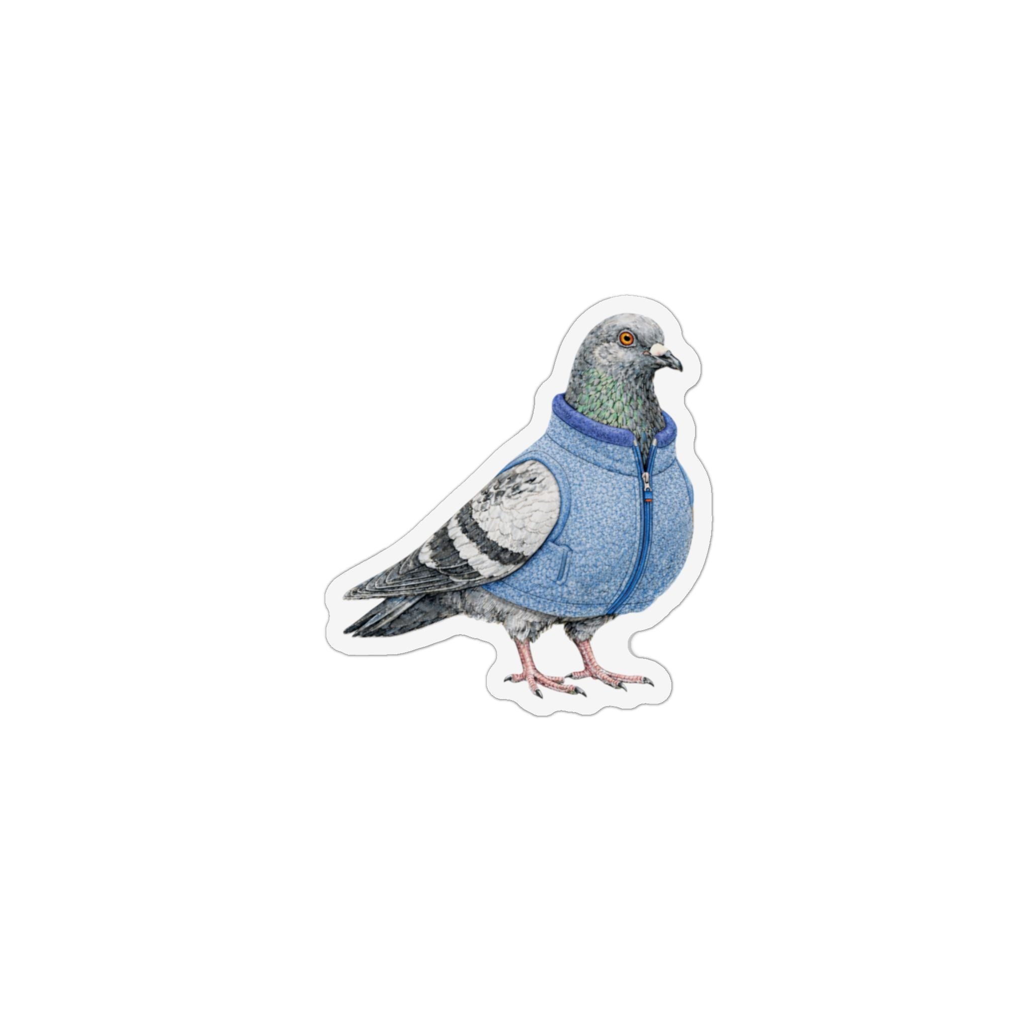 Aimant de réfrigérateur aimant à pigeons du quartier financier de New York | Aimant de réfrigérateur pour amoureux des oiseaux de Wall Street Finance Bro