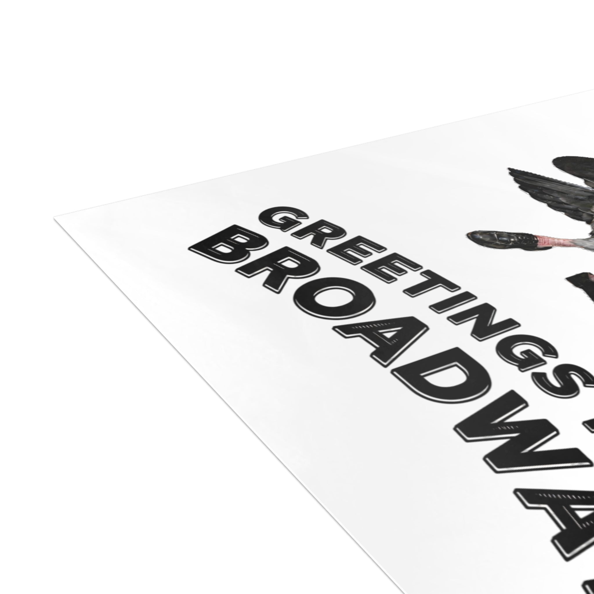 Broadway NYC Pigeon Postcard Bundle (envelopes included)