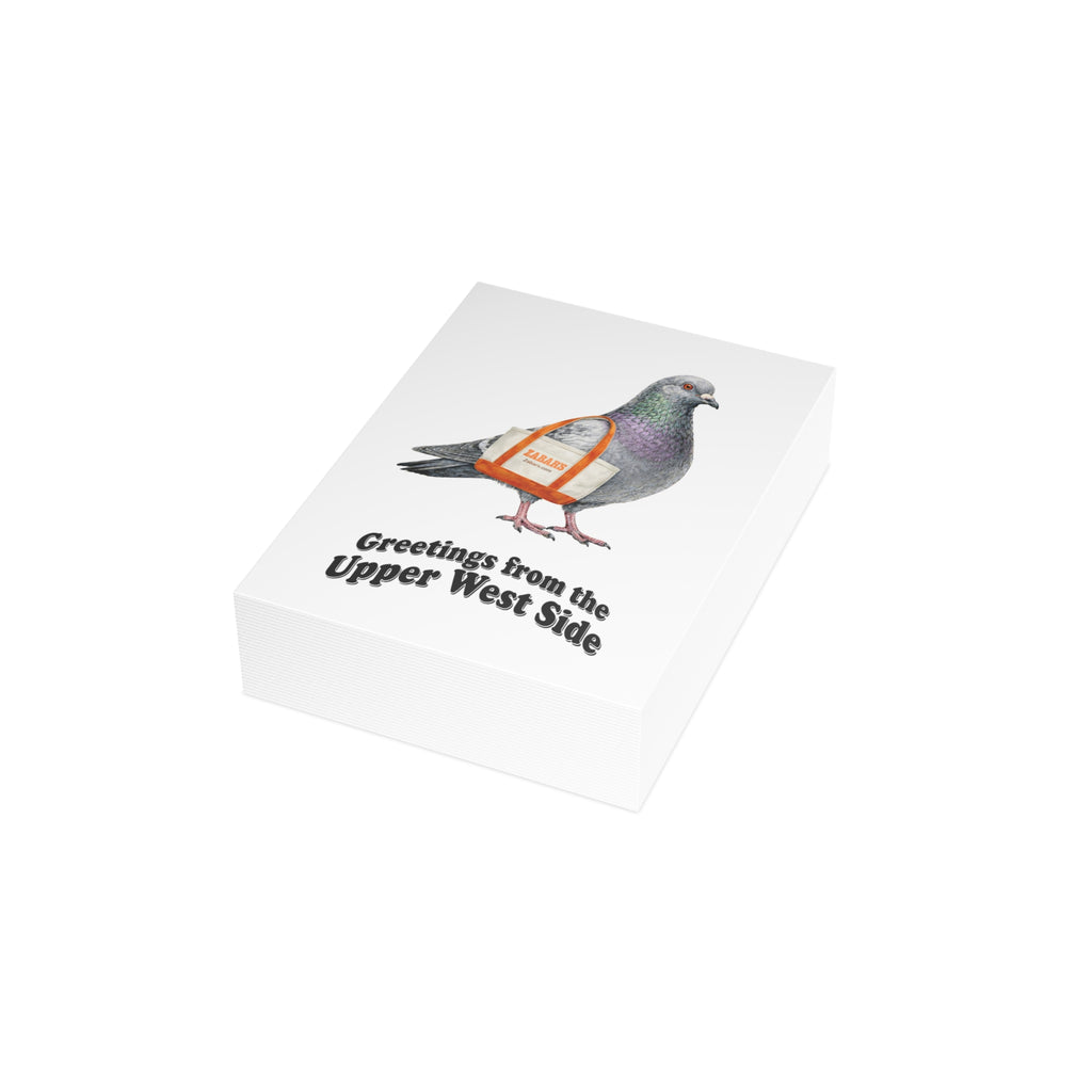 Upper West Side NYC Pigeon Postcard Bundle (envelopes included)