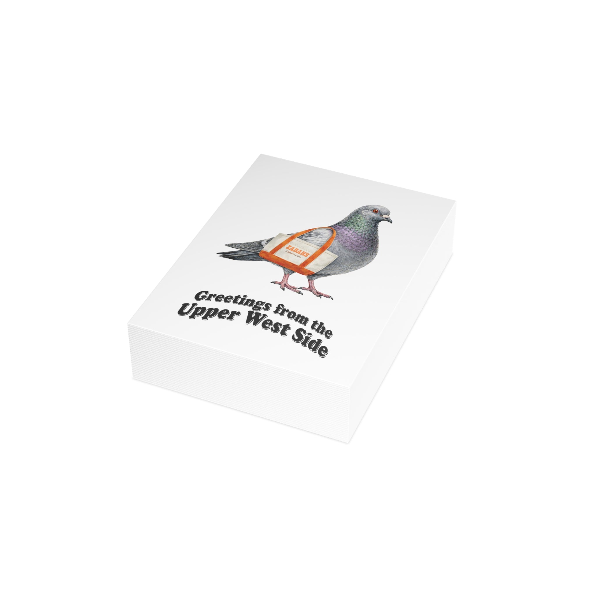 Upper West Side NYC Pigeon Postcard Bundle (envelopes included)