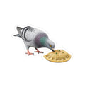 Greenpoint NYC Pigeon 3" x 3" Sticker