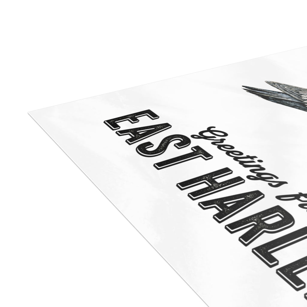 East Harlem NYC Pigeon Postcard Bundle (envelopes included)